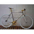 700c Hot Sale Bike Fashion Single Speed Fixed Gear Bicycle